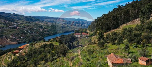 3 غرف نوم منزل في Baiao, Portugal رقم 26834 8