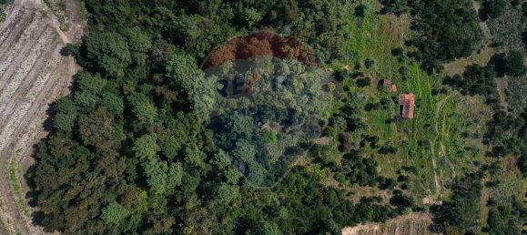 3 غرف نوم منزل في Baiao, Portugal رقم 26834 21