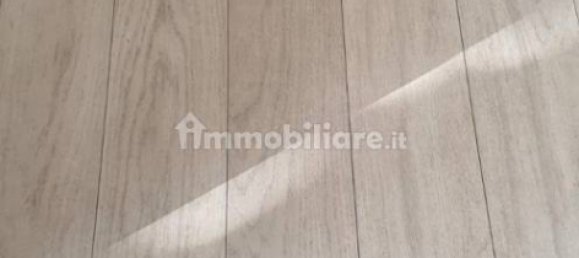 2 rooms Commercial property in San Giorgio Piacentino, Italy No. 222607 4