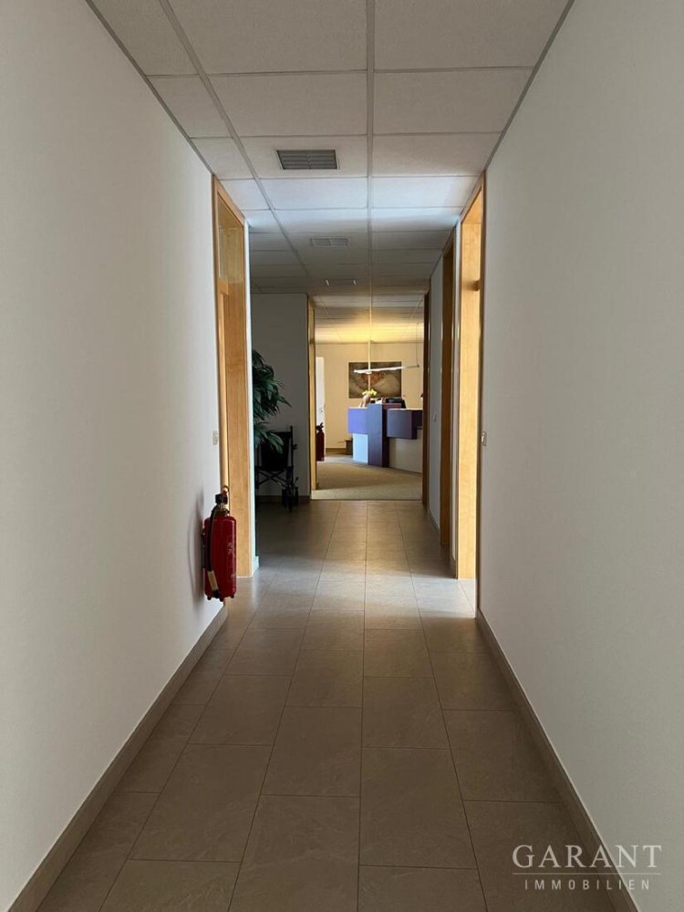 Oficina en Waldshut, Germany 224 m² No. 5423