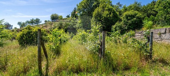 3 bedrooms House in Cabeceiras de Basto, Portugal No. 169454 13