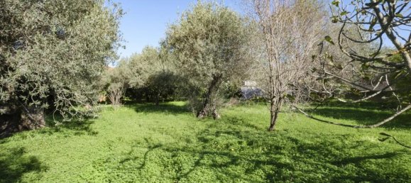 4 bedrooms Villa in Sassari, Italy No. 326984 31