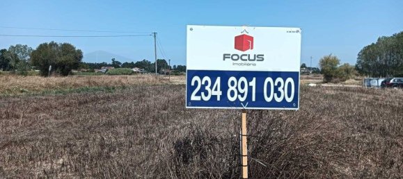 Grundstück in Vagos, Portugal 4485m², Nr. 248184 7