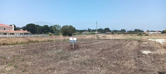 Grundstück in Vagos, Portugal 4485m², Nr. 248184 10