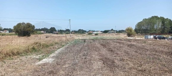 Grundstück in Vagos, Portugal 4485m², Nr. 248184 3