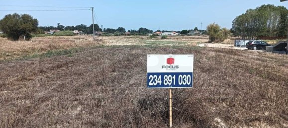 Grundstück in Vagos, Portugal 4485m², Nr. 248184 5