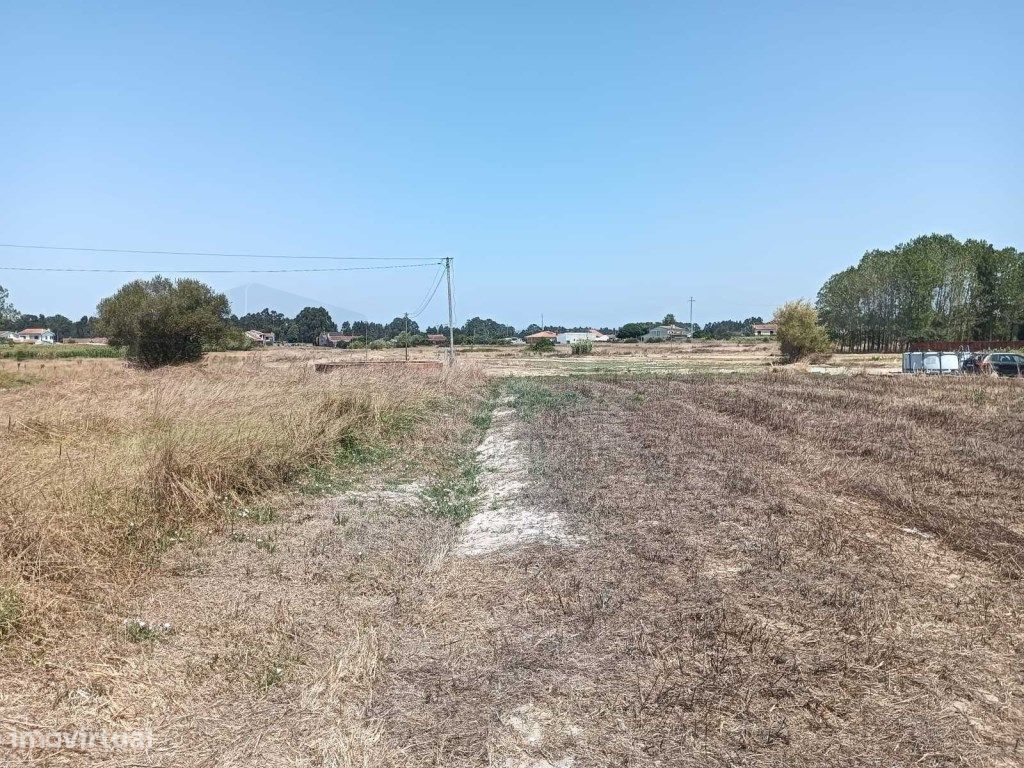 4485m² Land in Vagos, Portugal No. 248184
