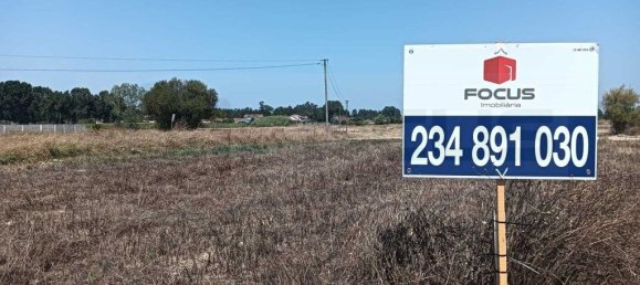 Grundstück in Vagos, Portugal 4485m², Nr. 248184 12