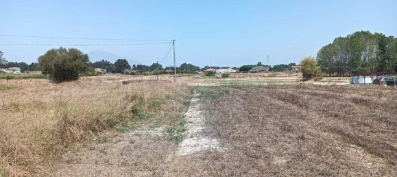 Grundstück in Vagos, Portugal 4485m², Nr. 248184 13