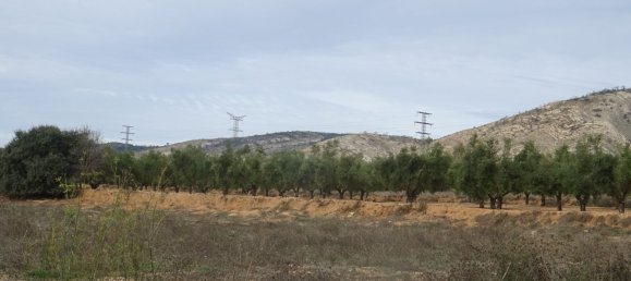 Земельный участок в Аликанте, Испания № 160979 2