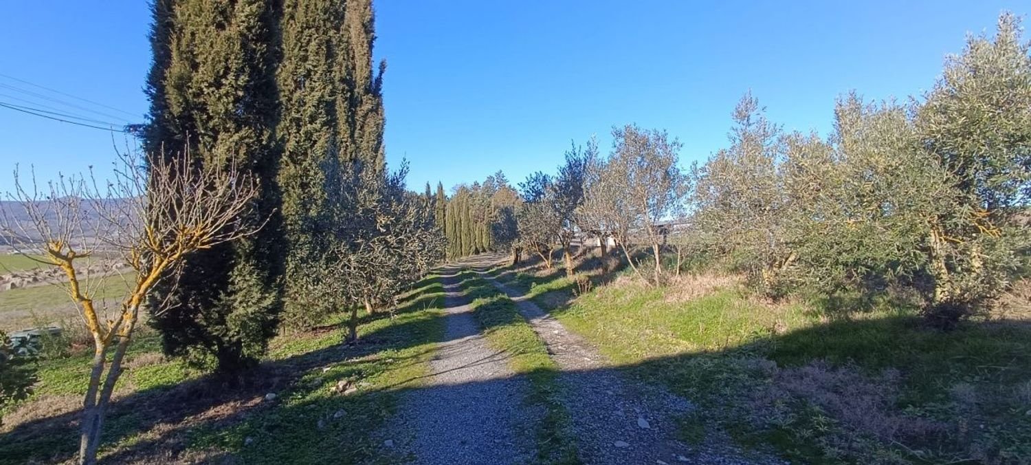 12غرفة منزل في Piancastagnaio, Italy رقم 72690