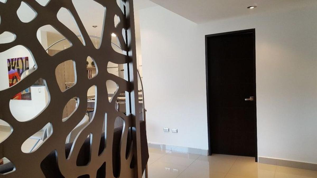 3 chambres Appartement à Nuevo Leon, Mexico No. 149524