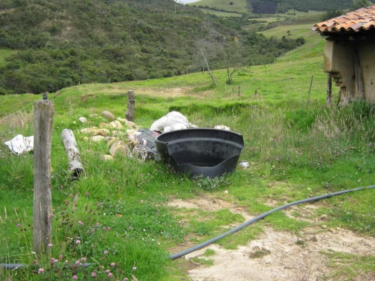 Estudio en Cundinamarca, Colombia No. 9319