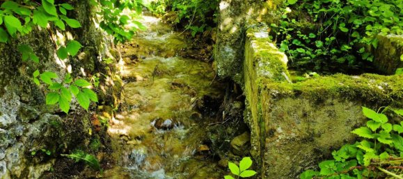 Дом с 6 спальнями в Гаминг, Австрия № 199466 39