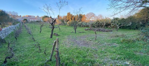3350m² Land in Florinas, Italy No. 256032 4