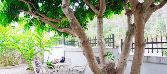 4 bedrooms Cafe / restaurant in Pattaya, Thailand No. 1807 15