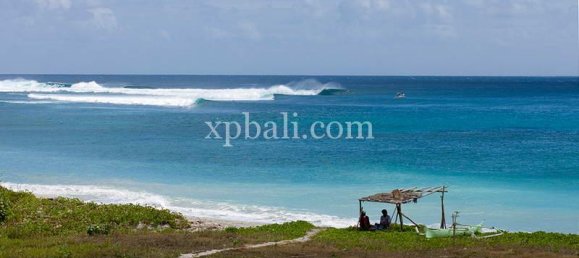  قطعة أرض في West Sumbawa, Indonesia 2476متر مربع رقم 3780 4