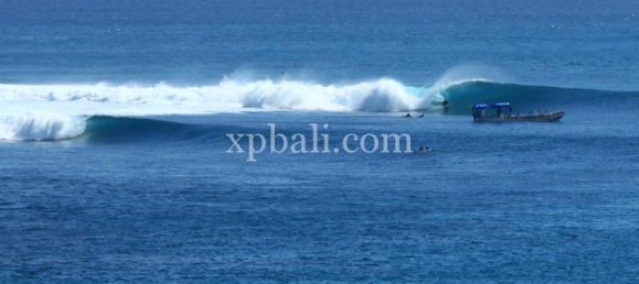  قطعة أرض في West Sumbawa, Indonesia 2476متر مربع رقم 3780 5