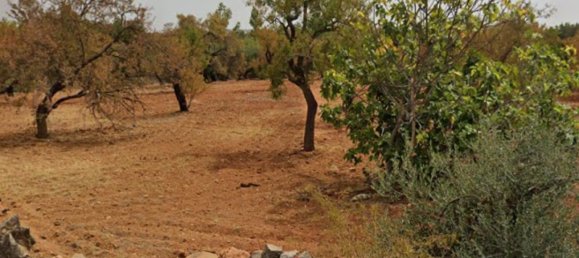 Grundstück in Faro, Portugal, Nr. 68309 9