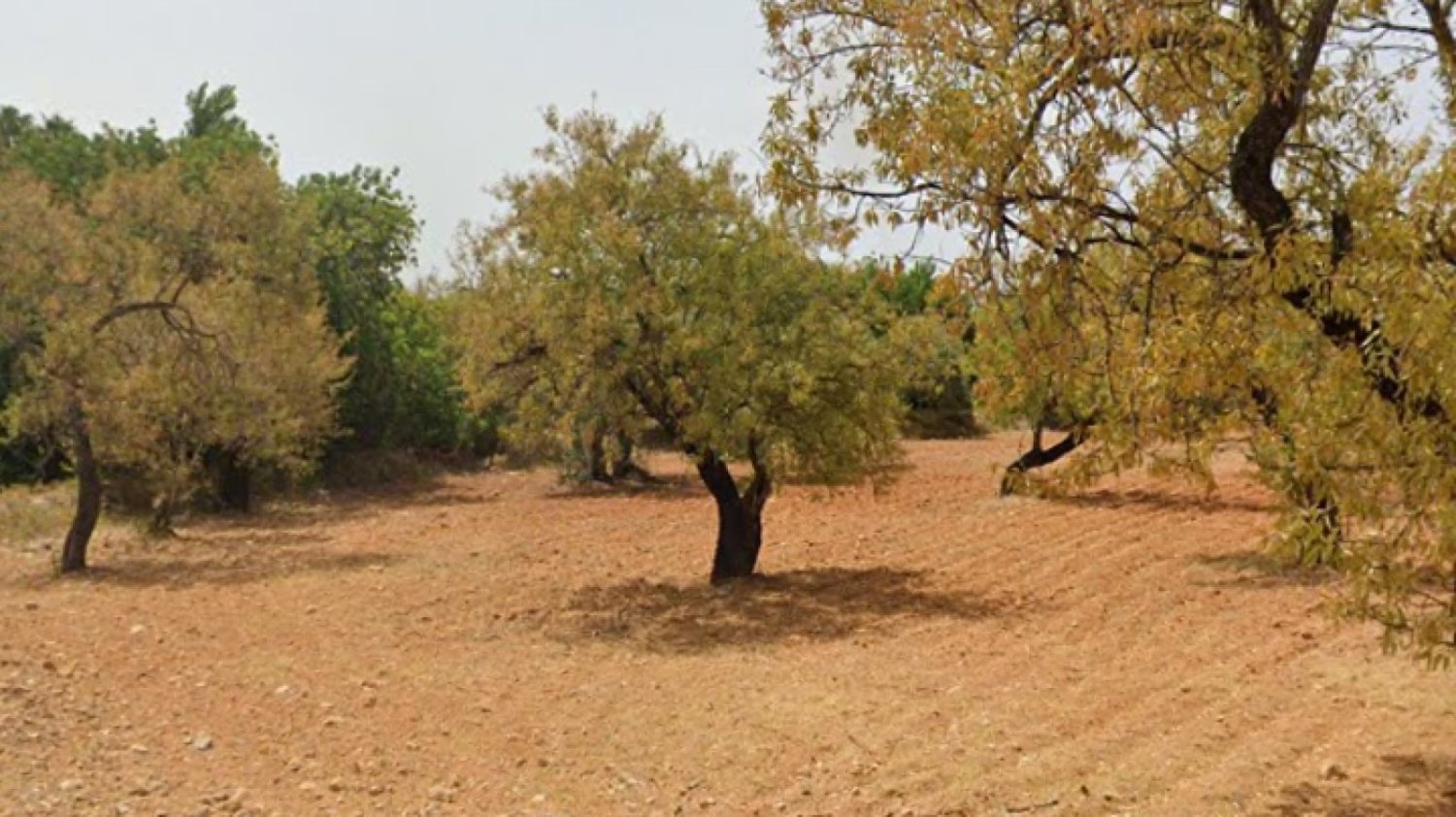 Grundstück in Faro, Portugal, Nr. 68309