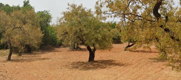Grundstück in Faro, Portugal, Nr. 68309 3