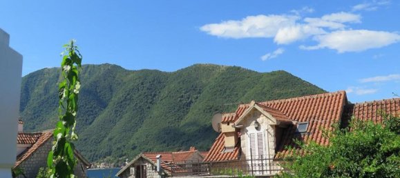 3 bedrooms Commercial property in Kotor, Montenegro No. 60 4