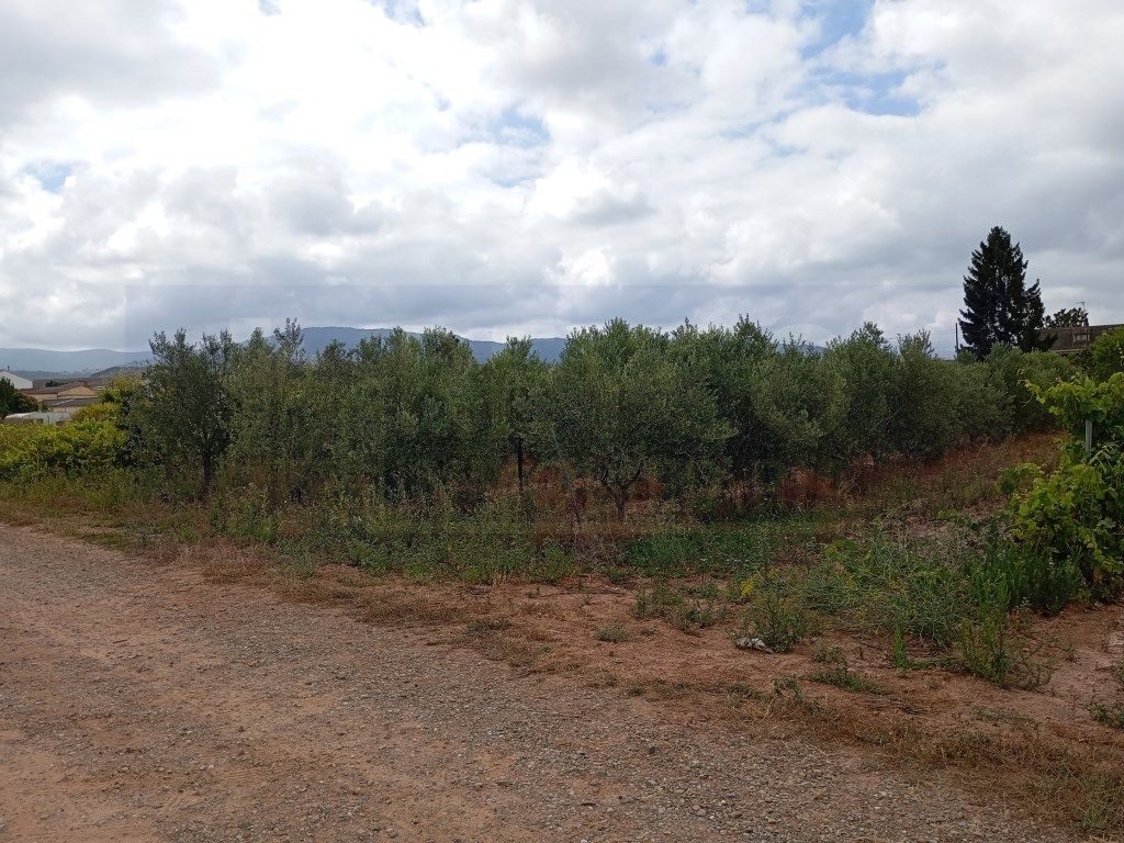 Grundstück in La Rioja, Spain 3285m², Nr. 175893