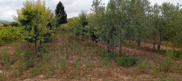 Grundstück in La Rioja, Spain 3285m², Nr. 175893 2