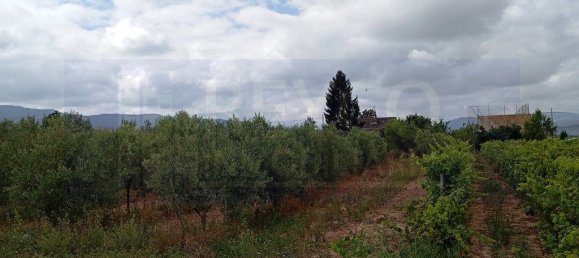 Grundstück in La Rioja, Spain 3285m², Nr. 175893 3