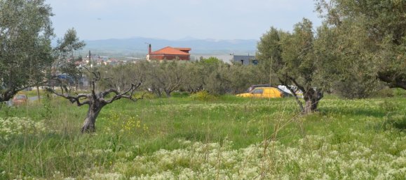 Terra em Chalkidiki, Greece 6100 m² N.º 102996 2