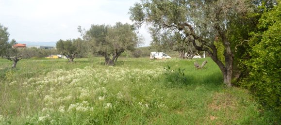 Terra em Chalkidiki, Greece 6100 m² N.º 102996 3