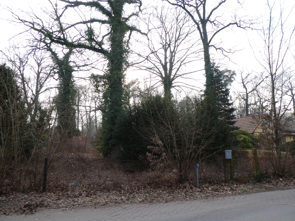  Land in Brandenburg, Germany No. 45193