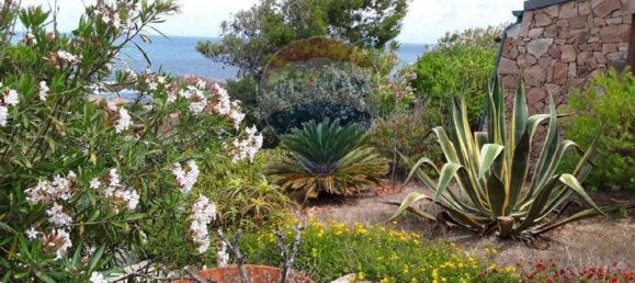 9 rooms Villa in Trinità d'Agultu e Vignola, Italy No. 215606 23