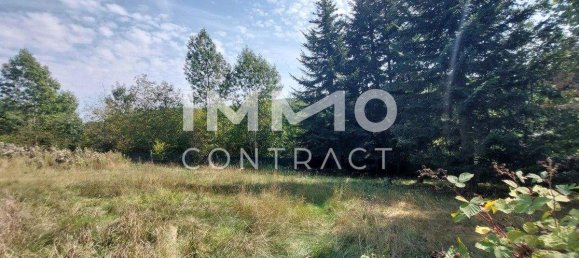 Land in Eichgraben, Austria No. 67216 5