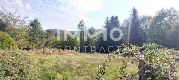 Land in Eichgraben, Austria No. 67216 8