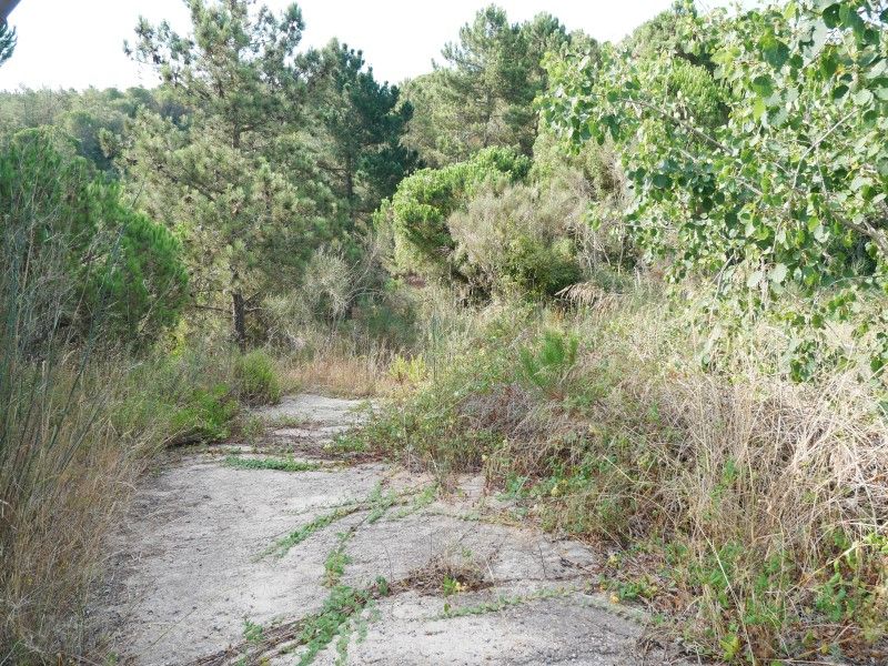  قطعة أرض في Lloret de Mar, Spain 803متر مربع رقم 268759