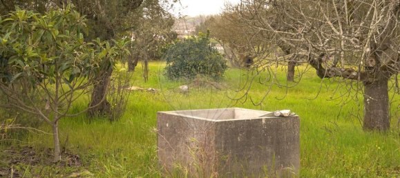 9 bedrooms House in Coruche, Portugal No. 75902 21