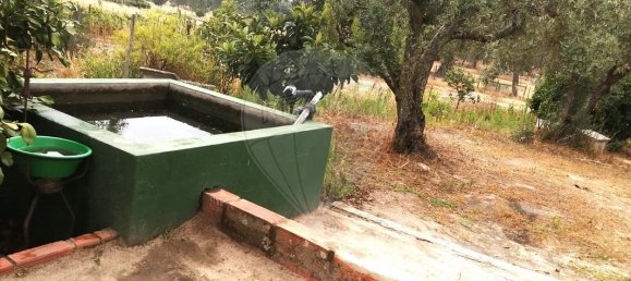 9 bedrooms House in Coruche, Portugal No. 75902 22