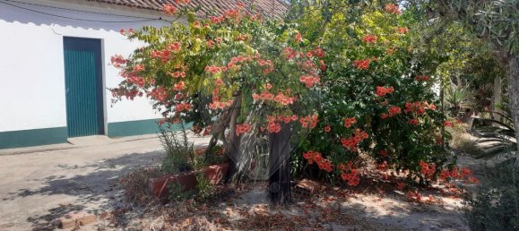 9 bedrooms House in Coruche, Portugal No. 75902 23