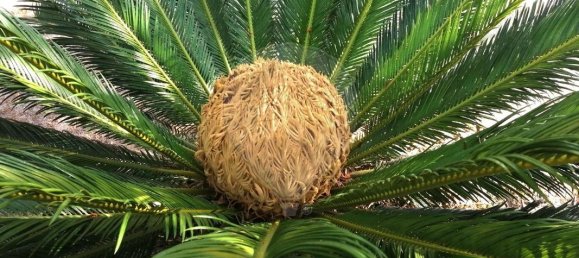 9 bedrooms House in Coruche, Portugal No. 75902 17