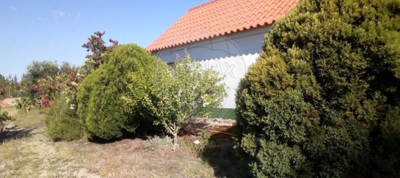 9 bedrooms House in Coruche, Portugal No. 75902 19
