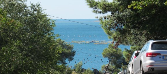 4 rooms Apartment in Trieste, Italy No. 284353 2