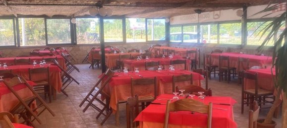 540m² Warehouse in Cellole, Italy No. 301093 3