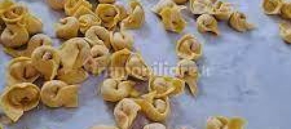 3-salle Propriété commerciale à Florence, Italy No. 281027 8