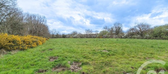  قطعة أرض في Vendee, France 3321متر مربع رقم 99922 2