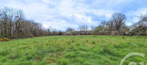  قطعة أرض في Vendee, France 3321متر مربع رقم 99922 4