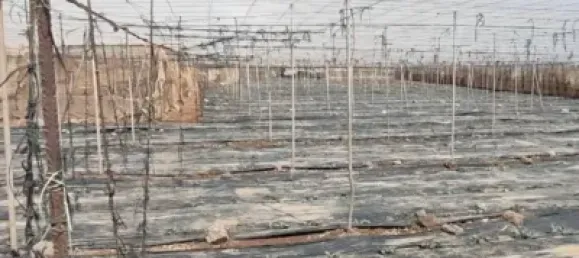 Земельный участок 4887м² в Гранадилья-де-Абона, Испания № 169538 25