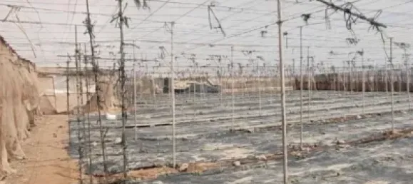 Земельный участок 4887м² в Гранадилья-де-Абона, Испания № 169538 20