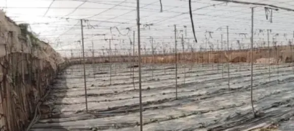 Земельный участок 4887м² в Гранадилья-де-Абона, Испания № 169538 34