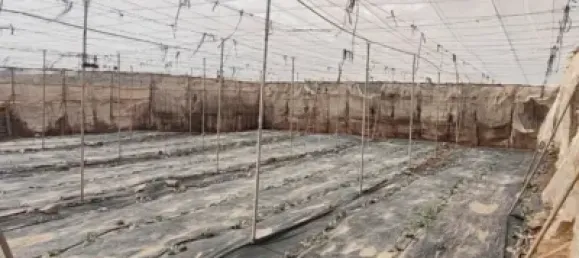 Земельный участок 4887м² в Гранадилья-де-Абона, Испания № 169538 24